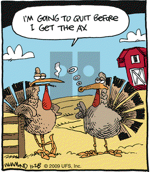 Reality Check on Saturday November 28, 2009 Comic Strip