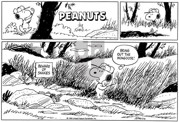 Peanuts on Sunday August 28, 1994 Comic Strip