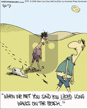 The Flying McCoys on Saturday August 29, 2009 Comic Strip
