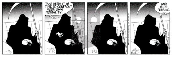 9 Chickweed Lane on Saturday May 5, 2007 Comic Strip
