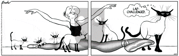 9 Chickweed Lane on Friday December 8, 2000 Comic Strip