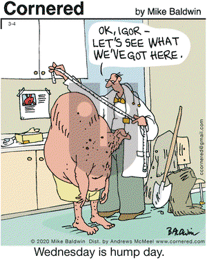 Cornered on Wednesday March 4, 2020 Comic Strip