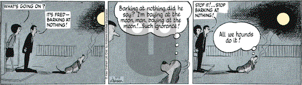 Fred Basset on Monday May 12, 2025 Comic Strip