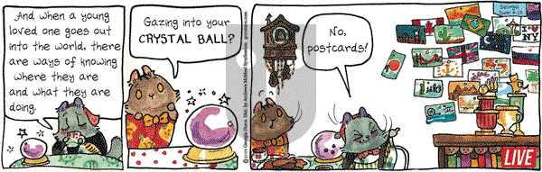 Breaking Cat News on Thursday June 13, 2019 Comic Strip