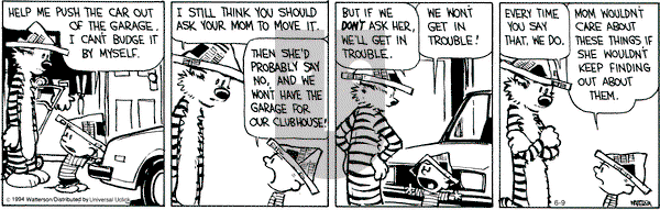Calvin and Hobbes - Monday June 9, 2014 Comic Strip