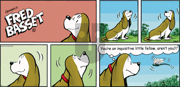Fred Basset on Sunday September 5, 2010 Comic Strip