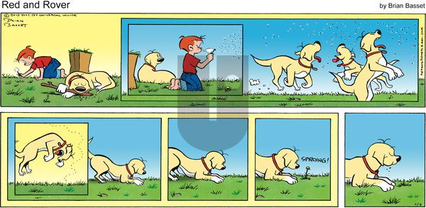 Red and Rover on Sunday July 5, 2015 Comic Strip