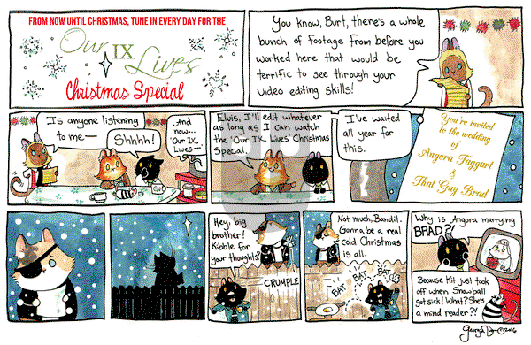 Breaking Cat News on Wednesday December 14, 2016 Comic Strip