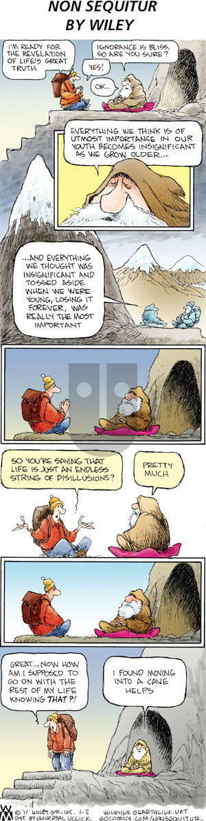 Non Sequitur on Sunday January 2, 2011 Comic Strip