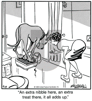 Marmaduke on Monday April 19, 1999 Comic Strip