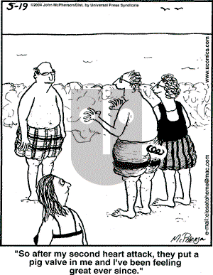 Close to Home - Wednesday May 19, 2004 Comic Strip