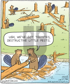 Brevity on Wednesday March 24, 2010 Comic Strip