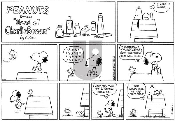 Peanuts on Sunday June 11, 1972 Comic Strip