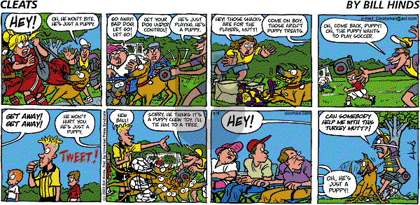 Cleats - Sunday May 5, 2002 Comic Strip