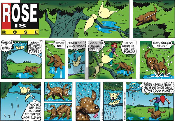 Rose is Rose on Sunday June 11, 2017 Comic Strip