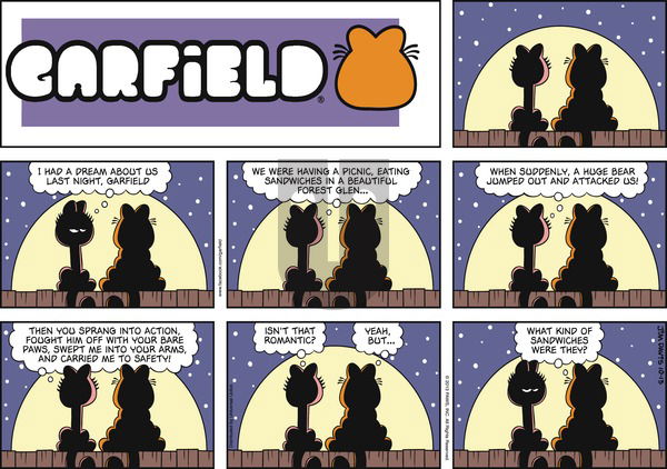 Garfield on Sunday October 13, 2013 Comic Strip