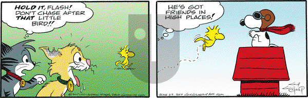 Nancy on Thursday June 22, 2017 Comic Strip