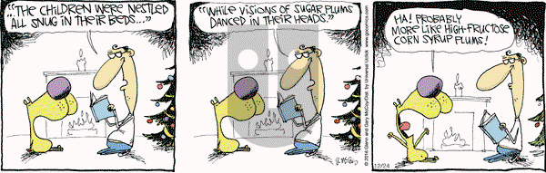 The Duplex on Saturday December 24, 2016 Comic Strip