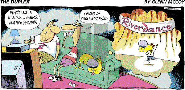 The Duplex on Sunday June 29, 2003 Comic Strip
