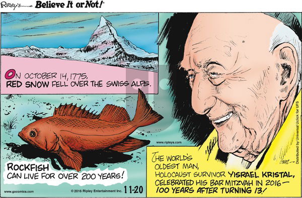 Ripley's Believe It or Not on Sunday November 20, 2016 Comic Strip