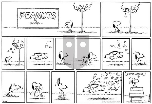 Peanuts on Sunday September 29, 1963 Comic Strip
