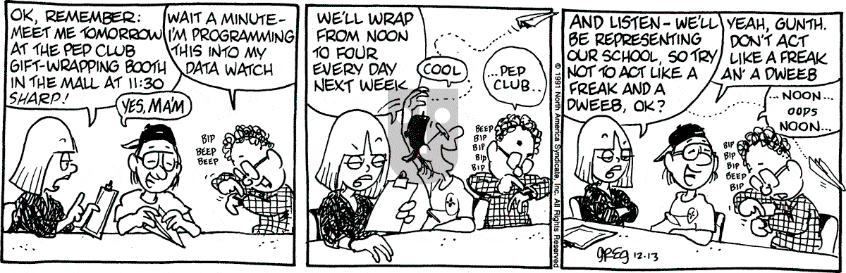 Luann - Friday December 13, 1991 Comic Strip
