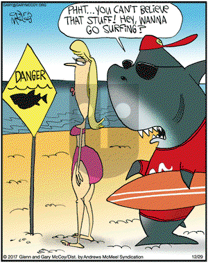 The Flying McCoys on Friday December 29, 2017 Comic Strip