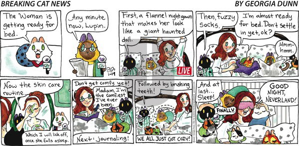 Breaking Cat News - Sunday January 19, 2025 Comic Strip