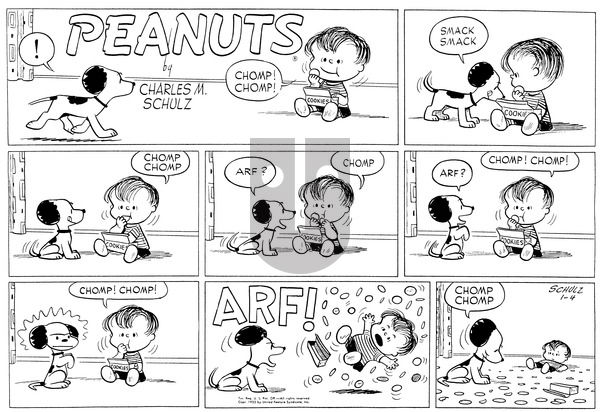 Peanuts on Sunday January 4, 1953 Comic Strip