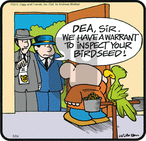 Ziggy on Wednesday May 24, 2017 Comic Strip