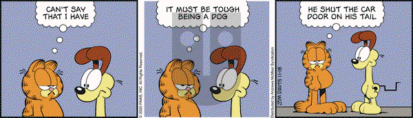 Garfield - Wednesday November 18, 2020 Comic Strip