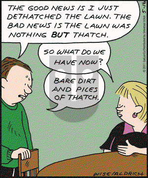 Real Life Adventures on Thursday May 15, 2025 Comic Strip