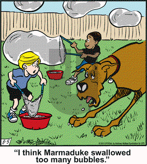 Marmaduke on Friday August 5, 2022 Comic Strip