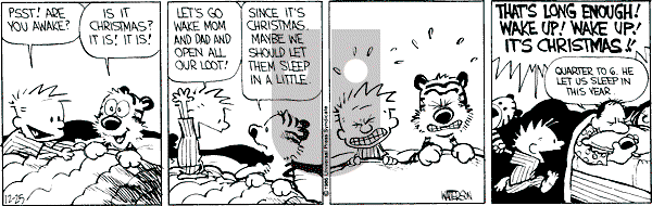 Calvin and Hobbes - Thursday December 25, 1986 Comic Strip