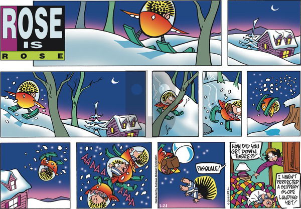 Rose is Rose on Sunday January 21, 2018 Comic Strip