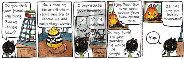 Breaking Cat News on Tuesday December 18, 2018 Comic Strip