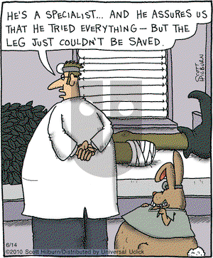 The Argyle Sweater - Monday June 14, 2010 Comic Strip