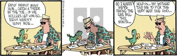 Monty on Thursday November 20, 2008 Comic Strip