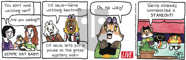 Breaking Cat News on Saturday February 22, 2020 Comic Strip