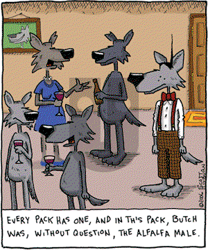 The Argyle Sweater on Friday December 22, 2006 Comic Strip