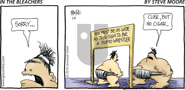 In the Bleachers on Sunday January 3, 2010 Comic Strip
