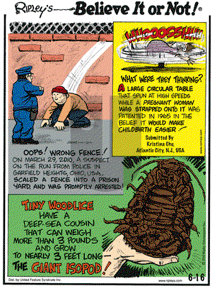 Ripley's Believe It or Not - Wednesday June 16, 2010 Comic Strip