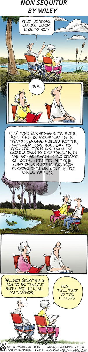 Non Sequitur on Sunday August 16, 2015 Comic Strip