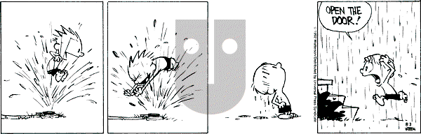 Calvin and Hobbes - Monday August 3, 1992 Comic Strip
