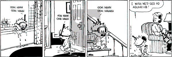 Calvin and Hobbes - Friday December 22, 1989 Comic Strip