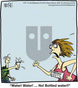 In the Bleachers - Tuesday December 8, 2015 Comic Strip