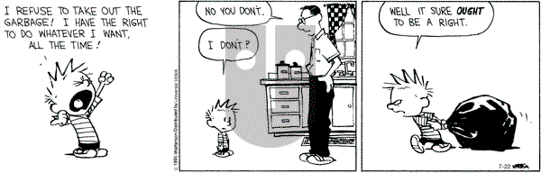 Calvin and Hobbes on Wednesday July 22, 2015 Comic Strip