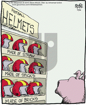 In the Bleachers on Saturday November 30, 2013 Comic Strip