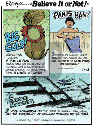 Ripley's Believe It or Not on Friday November 13, 2009 Comic Strip