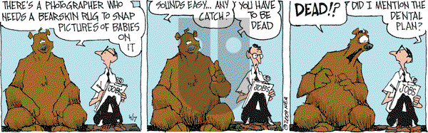 The Grizzwells on Wednesday June 17, 2009 Comic Strip